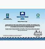 Mavi Bayrak 2025