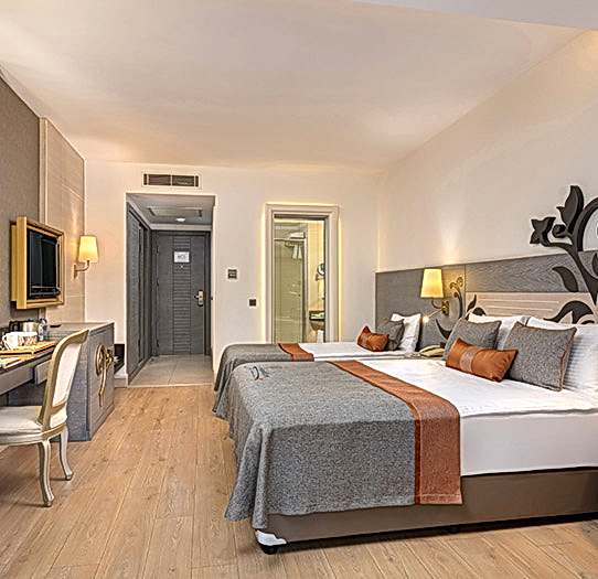 Standart Kara Manzaralı Oda